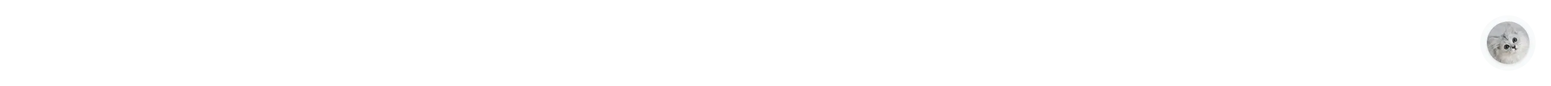 Introduce Mock Up Sidebar